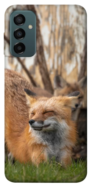 Чехол на Samsung Galaxy M13 4G Лиса фото 1 из 1