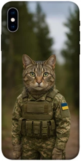 Чехол на Apple iPhone X (5.8") Кот защитник фото 1 из 1