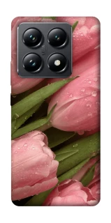 Чехол на Xiaomi 14T Pro Beauty фото 1 из 1