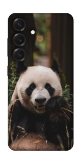 Чохол на Samsung Galaxy S26+ Панда фото 1 з 1