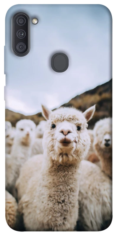 Чохол на Samsung Galaxy A11 Лама фото 1 з 1