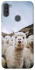 Чохол на Samsung Galaxy A11 Лама фото 1 з 1