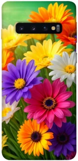 Чохол на Samsung Galaxy S10 Flowers v32 фото 1 з 1
