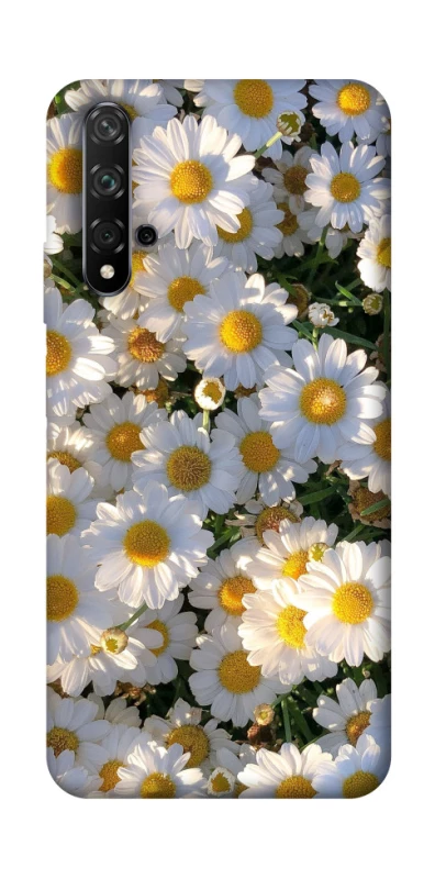 Чохол на Huawei Honor 20 / Nova 5T Поле ромашок фото 1 з 1