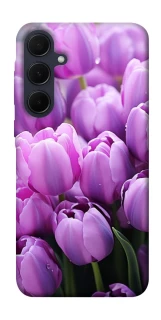 Чохол на Samsung Galaxy A35 Фіолетові тюльпани фото 1 з 1