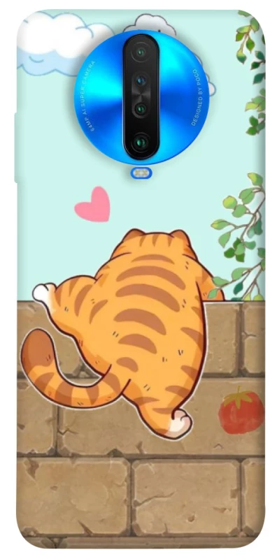 Чохол на Xiaomi Poco X2 Cat the meow фото 1 з 1