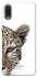 Чохол на Samsung Galaxy A02 Leopard Art v2 фото 1 з 1
