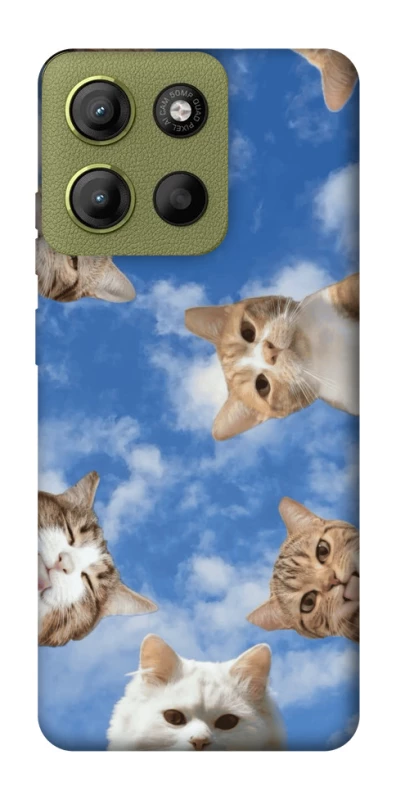 Чохол на Motorola Moto G15 4G Сats фото 1 з 1