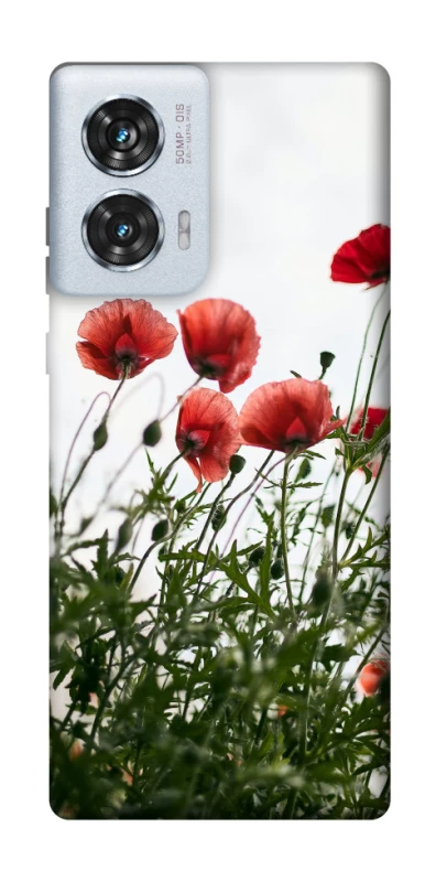 Чохол на Motorola Edge 50 Fusion Поле маків фото 1 з 1