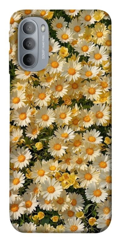 Чохол на Motorola Moto G31 Camomile фото 1 з 1