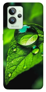 Чохол на Realme GT2 Flowers v16 фото 1 з 1