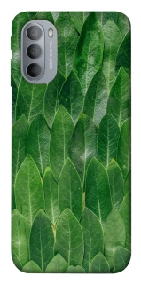 Чохол на Motorola Moto G31 Листя фото 1 з 1
