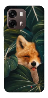 Чехол на Oppo A6 Fox фото 1 из 2