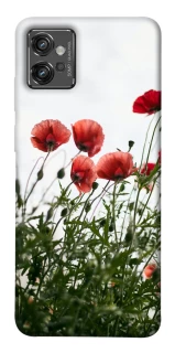 Чехол на Motorola Moto G32 Поле маков фото 1 из 1