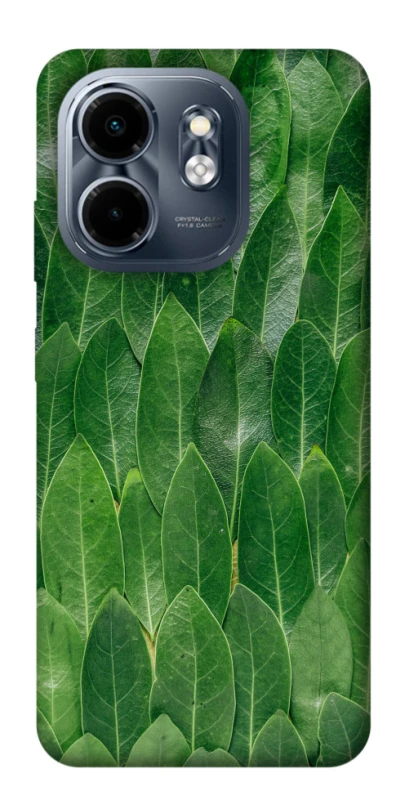 Чохол на Infinix Smart 9 4G / Hot 50i Листя фото 1 з 1