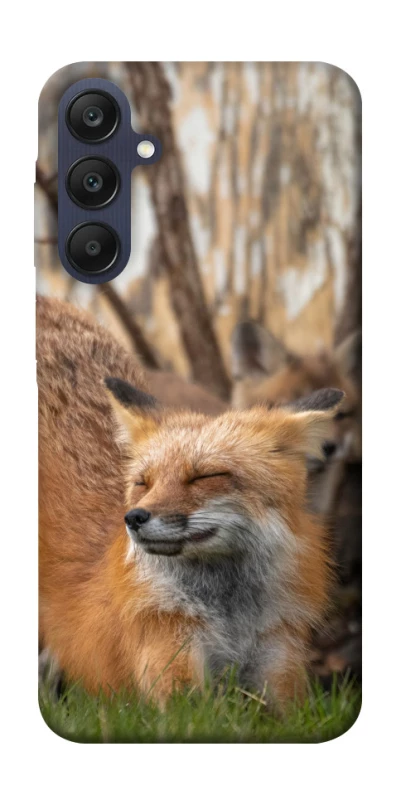 Чехол на Samsung Galaxy A25 5G Лиса фото 1 из 1