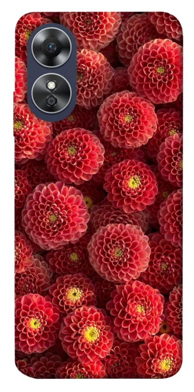 Чохол на Oppo A17 Midnight1 фото 1 з 1