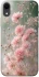 Чехол на Apple iPhone XR (6.1") Flowers v26 фото 1 из 1