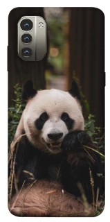 Чехол на Nokia G11 Панда фото 1 из 1