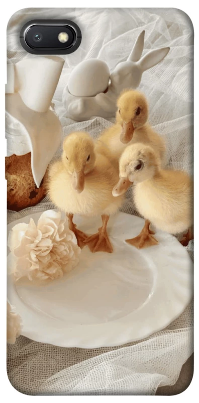 Чохол на Xiaomi Redmi 6A Easter Vibes фото 1 з 1