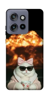Чохол на Motorola Edge 50 Neo Exploding Kittens ver.2 фото 1 з 1