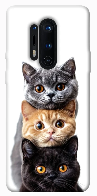 Чохол на OnePlus 8 Pro Гарні котики фото 1 з 1