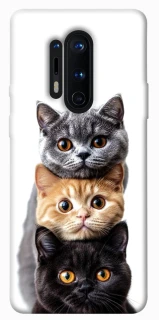 Чохол на OnePlus 8 Pro Гарні котики фото 1 з 1