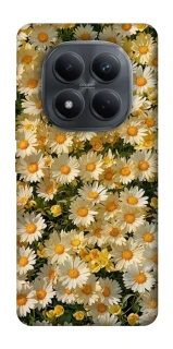 Чохол на Xiaomi Redmi Note 15 Pro 4G Camomile фото 1 з 1