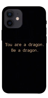 Чохол на Apple iPhone 12 mini (5.4") House of the Dragon ver.9 фото 1 з 1