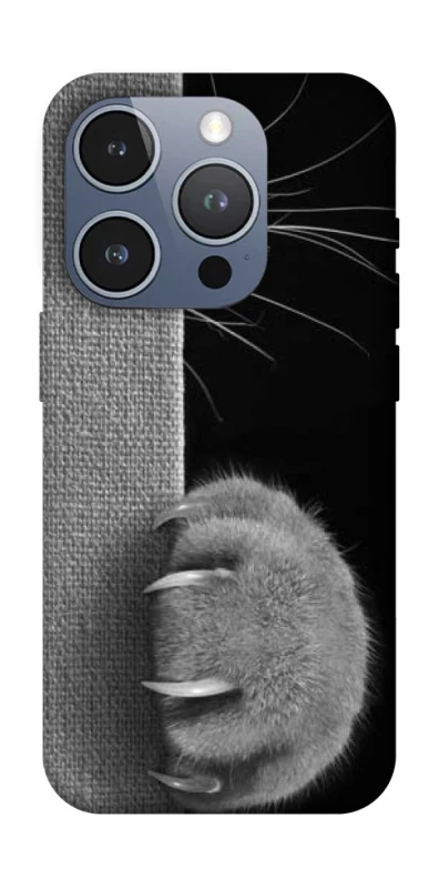 Чохол на Apple iPhone 16 Pro Spy Cat фото 1 з 1