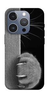 Чехол на Apple iPhone 16 Pro Spy Cat фото 1 из 1