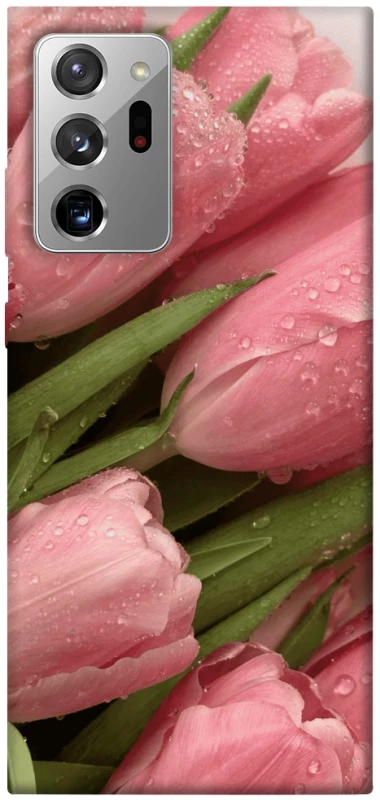 Чехол на Samsung Galaxy Note 20 Ultra Beauty фото 1 из 1