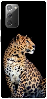 Чохол на Samsung Galaxy Note 20 Leopard v2 фото 1 з 1
