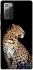 Чохол на Samsung Galaxy Note 20 Leopard v2 фото 1 з 1