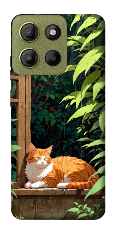 Чохол на Motorola Moto G15 4G red cat фото 1 з 1