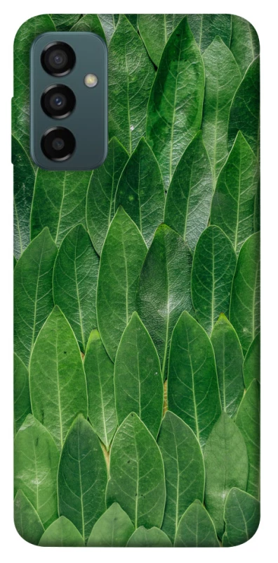 Чохол на Samsung Galaxy M13 4G Листя фото 1 з 1