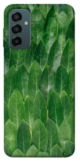 Чехол на Samsung Galaxy M13 4G Листья фото 1 из 1