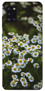 Чехол на Samsung Galaxy A31 Ромашки v13 фото 1 из 1