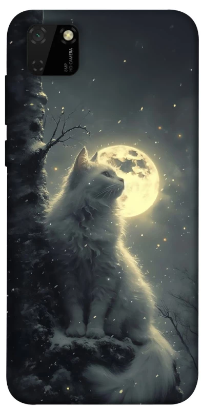 Чохол на Huawei Y5p Кіт під місяцем фото 1 з 1