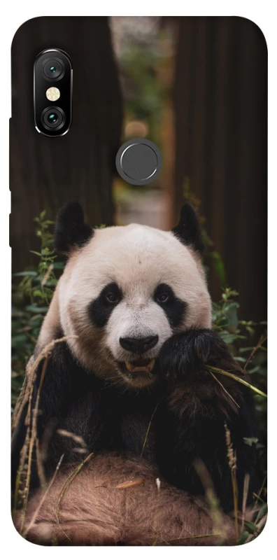 Чохол на Xiaomi Redmi Note 6 Pro Панда фото 1 з 1