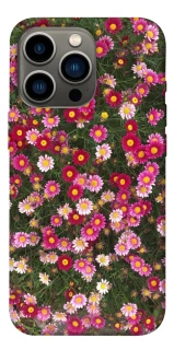 Чохол на Apple iPhone 13 Pro (6.1") Flowers v8 фото 1 з 1