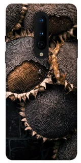 Чохол на OnePlus 8 Dreams2 фото 1 з 1