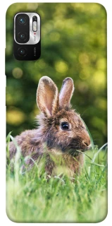 Чехол на Xiaomi Poco M3 Pro 4G / 5G Кролики фото 1 из 1
