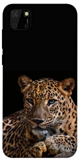 Чехол на Huawei Y5p Leopard v4 фото 1 из 1