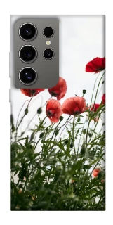 Чохол на Samsung Galaxy S24 Ultra Поле маків фото 1 з 1