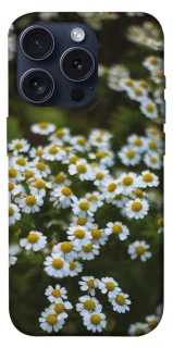 Чехол на Apple iPhone 15 Pro (6.1") Ромашки v13 фото 1 из 1