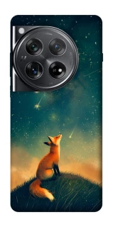 Чехол на OnePlus 12 Sky fox фото 1 из 1