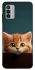 Чехол на Nokia G42 Чехол Котёнок фото 1 из 1