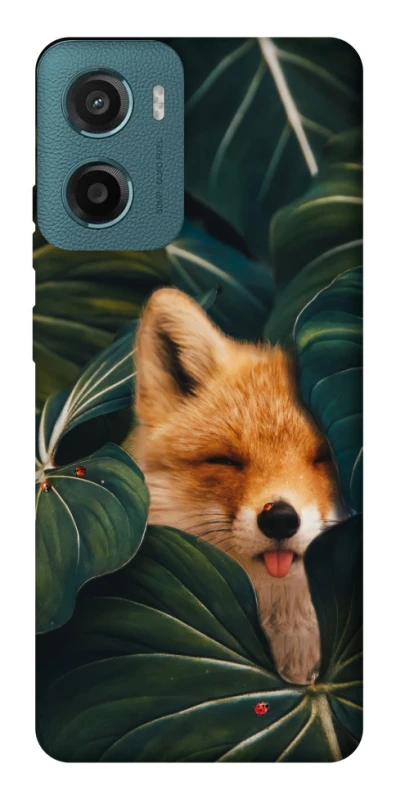 Чохол на Motorola Moto G06 Fox фото 1 з 1