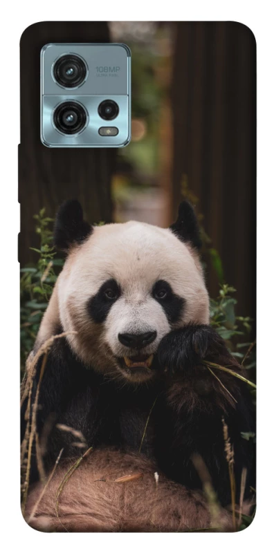 Чохол на Motorola Moto G72 Панда фото 1 з 1